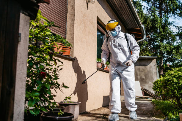Best Flea Control Services  in Weed, CA