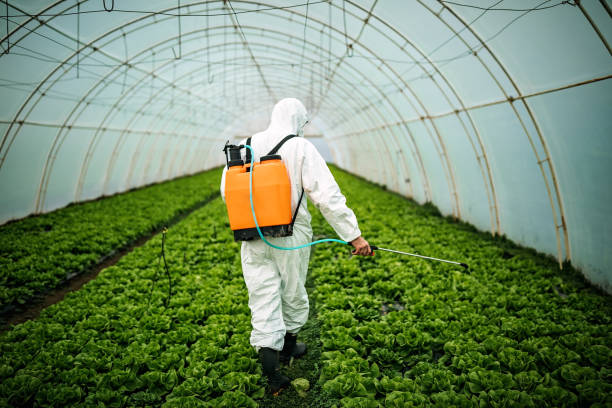 Best Exterminator Services  in Weed, CA