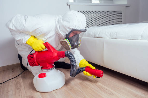 Wasp Removal Services in Weed, CA