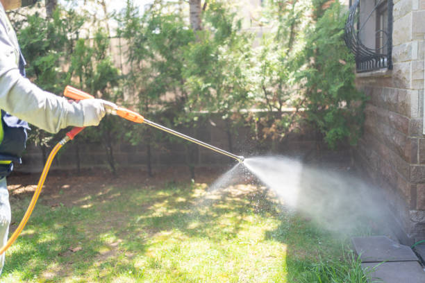 Best Rodent Control Near Me  in Weed, CA