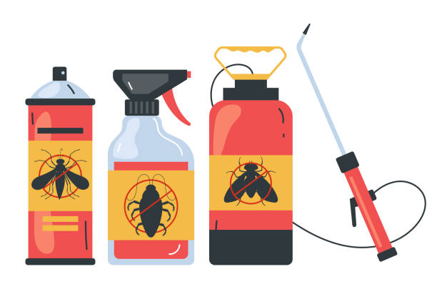 Wasp Removal Services in Weed, CA